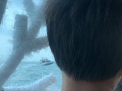 -五缘湾游艇帆船俱乐部