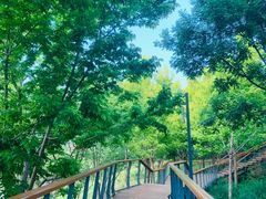 -东郊湿地公园