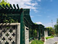 -西海子公园