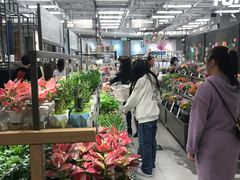 -鹿岛生活(熙地港店)