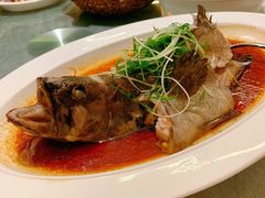 清蒸珍珠斑鱼-79号渔船海鲜饭店(宝安店)