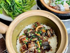 金牌黄鳝饭-红星光发煲仔饭(文海店)