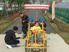 -菊园百果园