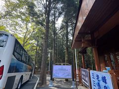 -庐山风景区花径公园