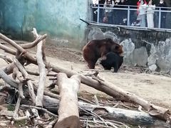 -无锡动物园·太湖欢乐园