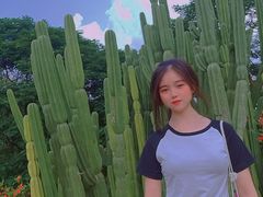 -松山湖梦幻百花洲