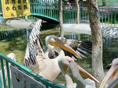 -水上乐园·欢乐世界