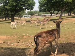 -西安秦岭野生动物园