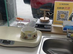 -美美宠物诊疗中心·异宠·骨科(滨江东信分院)