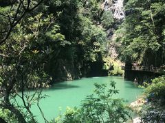 -小七孔景区东门售票处