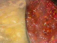 -蜀大侠火锅(总府路店)