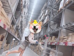 -宜家家居(西安未央商场店)