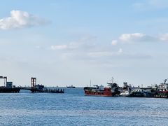 -上海吴淞炮台湾国家湿地公园