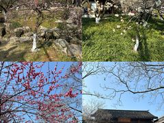 -杭州植物园