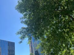 -星巴克臻选(北京太阳宫凯德店)