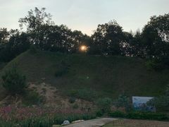 -广州市流溪河国家森林公园