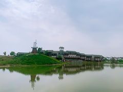 -金卉庄园
