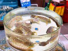 -强记海鲜·大排档(蛇口新街店)