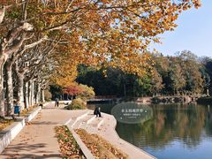 -泰州凤城河风景区-泰山公园