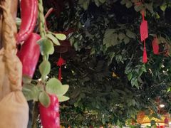 -成老灶火锅鸡(平山店)