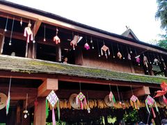 -西双版纳原始森林公园