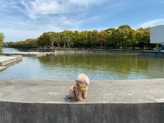 -上海鲜花港