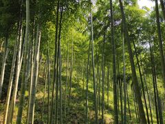 -夏霖九天银瀑风景区
