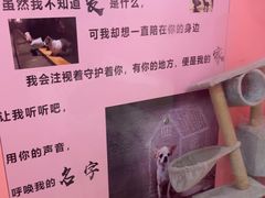 -万达广场(北一路店)