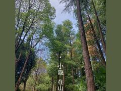 -东湖磨山景区