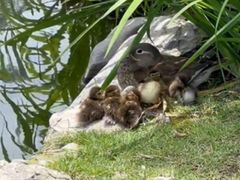 -五洲国际广场(文峰路店)