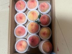 -老袁家蜜桃农场·阳山水蜜桃