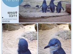 -费瑟代尔野生动物园