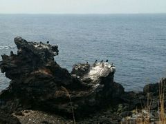 -龙头岩(Dragon Head Rock)