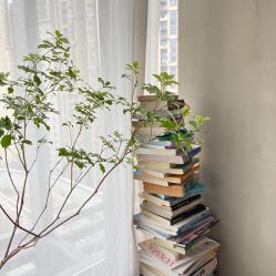 点击看大图 -Y+U遇瑜伽·普拉提