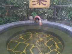 -仁爱团泊湖温泉中心