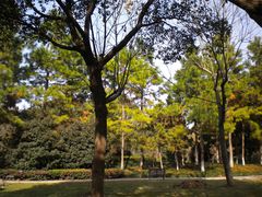 DSCN4954-范蠡湖公园