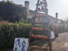 -嘉北郊野公园