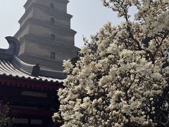 -大慈恩寺(大雁塔)