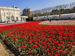 -大宁郁金香公园-停车场