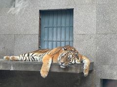 -西安秦岭野生动物园