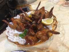 -一煲鸽