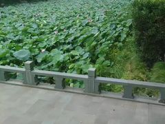 -老赵面店(大西路店)