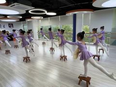 -小荧星艺校(浦东中环分校)