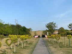 -佛手湖郊野公园