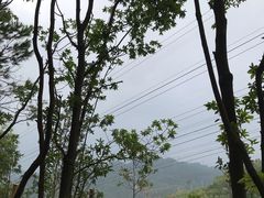 -中山市树木园