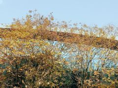 -雕刻时光咖啡馆(北航店)