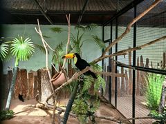 -北京野生动物园