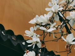 -龙华寺
