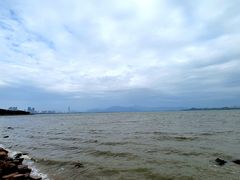 -深圳湾公园(南山区)
