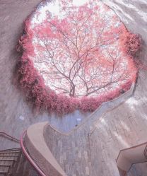-Kraemer Paris  苏豪路易士·嘉玛发廊